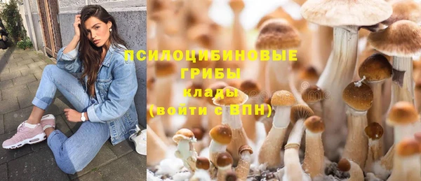 хмурый Алзамай