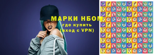 хмурый Алзамай